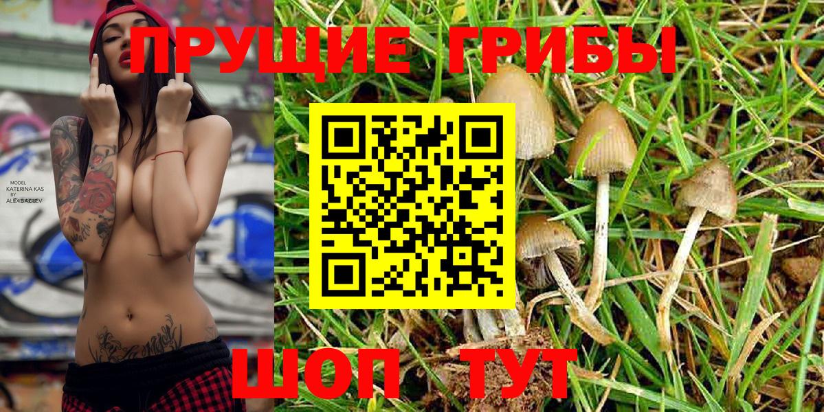 Псилоцибиновые грибы MAGIC MUSHROOMS Ревда