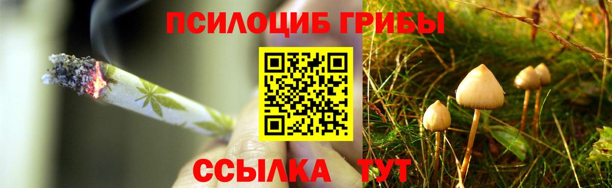 Ревда  Галлюциногенные грибы прущие грибы  Галлюциногенные грибы GOLDEN TEACHER  Вход с VPN 